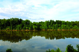 Tombigbee River at Lock 2 Park