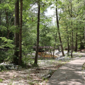 Broadhead Park, NEEDHAM