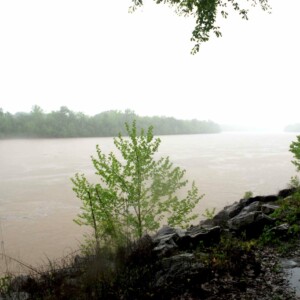 River Wildlife Refuge