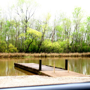 River at Wildlife Refuge