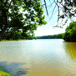 TOMBIGBEE RIVER at LENOIRS LANDING