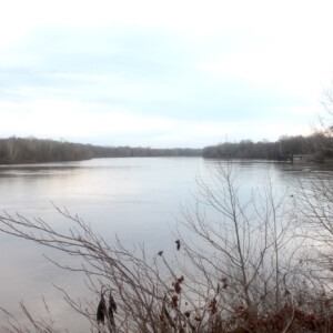 Tombigbee River at Lenoir Landing