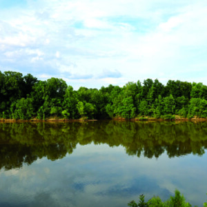 Tombigbee River at Lock 2 Park